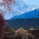 林芝旅游 缩略图 1