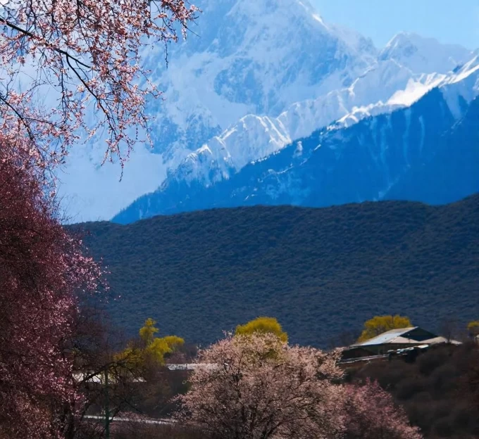 林芝旅游 1
