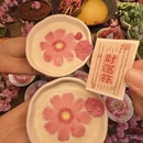 林芝旅游 缩略图 13