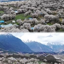 林芝旅游 缩略图 11