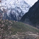 林芝旅游 缩略图 16