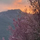 大理州旅游 缩略图 7