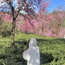 大理州旅游 缩略图 3