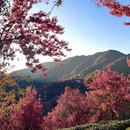 大理州旅游 缩略图 9