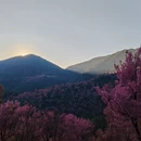 大理州旅游 缩略图 8