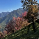大理州旅游 缩略图 5