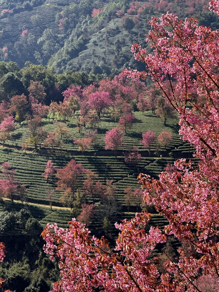 大理州旅游
