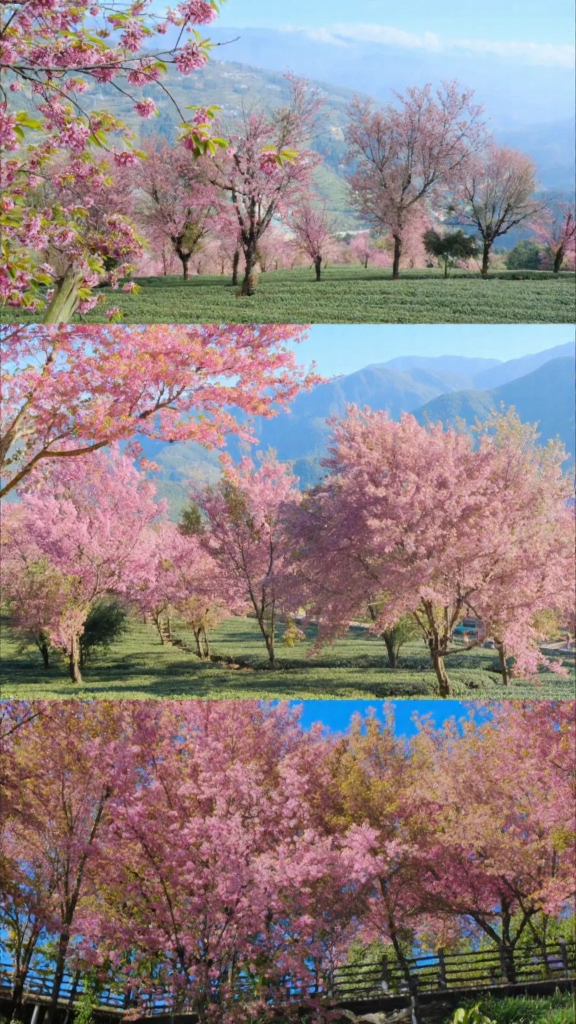 大理州旅游
