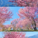 大理州旅游 缩略图 4