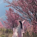 大理州旅游 缩略图 3