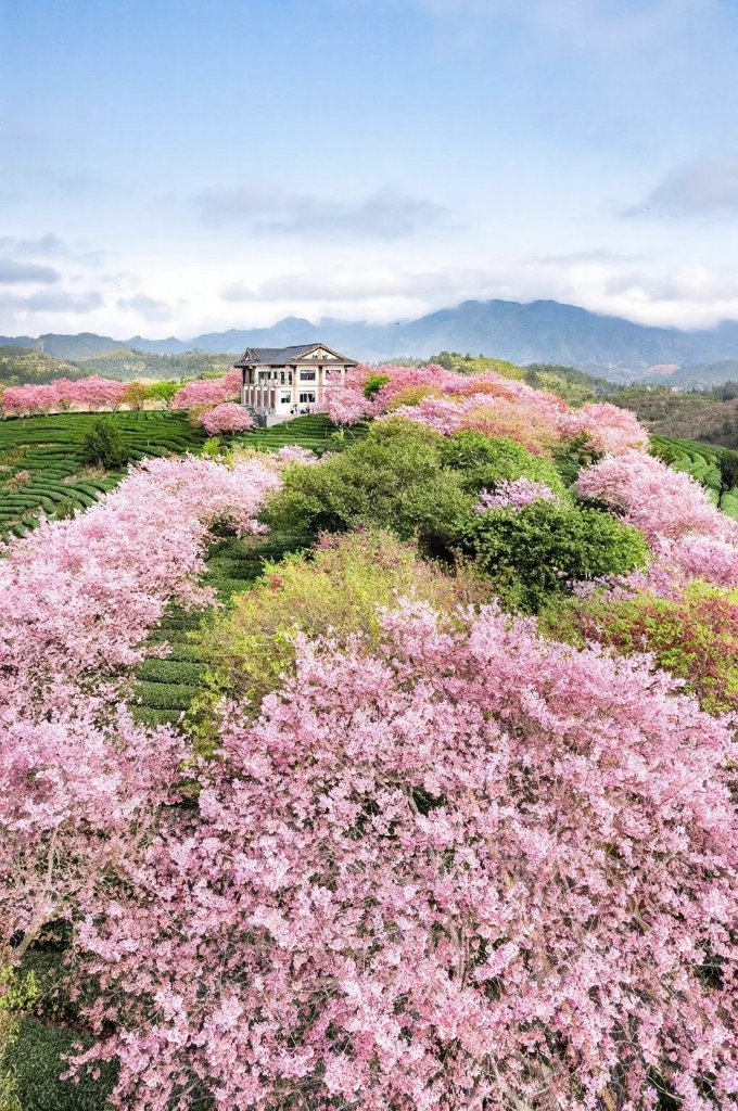 龙岩旅游