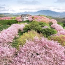 龙岩旅游 缩略图 1