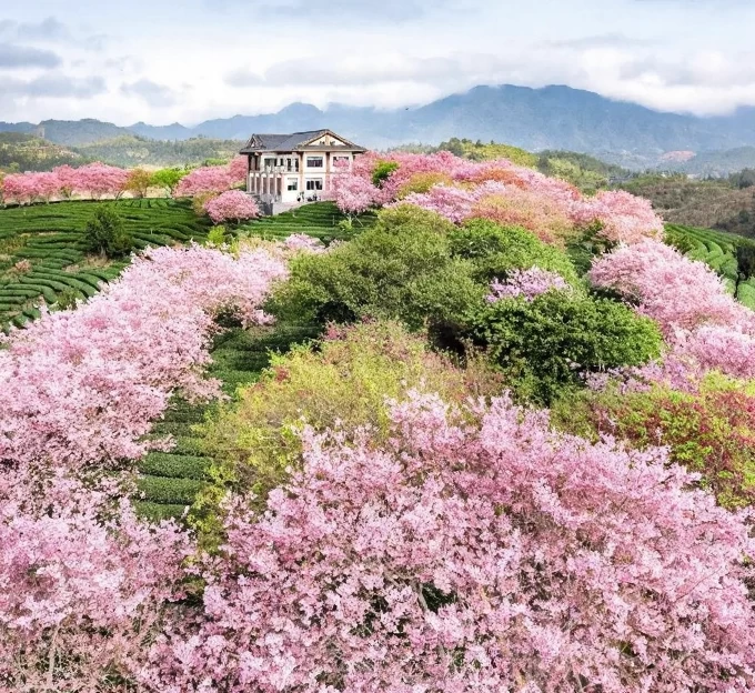 龙岩旅游 1