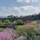 龙岩旅游 缩略图 2