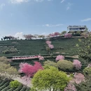 龙岩旅游 缩略图 4