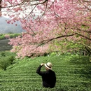 龙岩旅游 缩略图 8