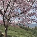 龙岩旅游 缩略图 5