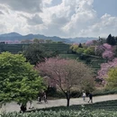 龙岩旅游 缩略图 3