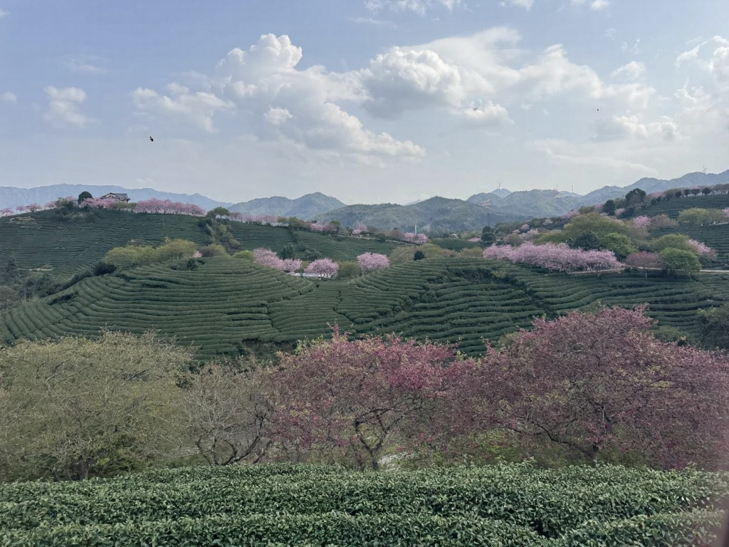 龙岩旅游