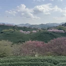 龙岩旅游 缩略图 1