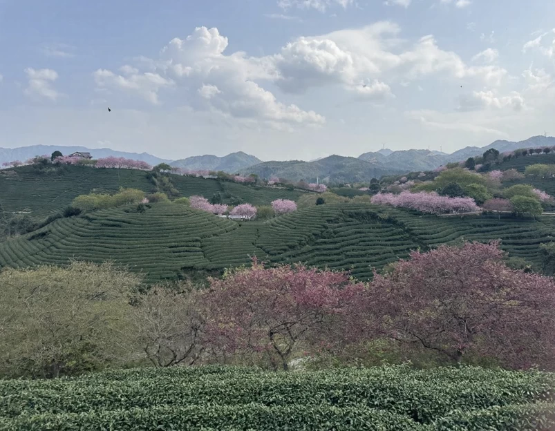 龙岩旅游 1