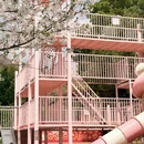 宁波旅游 缩略图 16