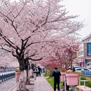 马鞍山旅游 缩略图 3