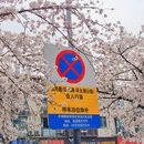 马鞍山旅游 缩略图 6