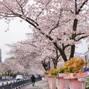 马鞍山旅游 缩略图 4