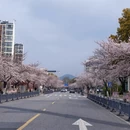 马鞍山旅游 缩略图 2