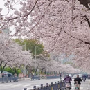 马鞍山旅游 缩略图 5
