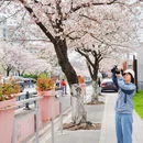 马鞍山旅游 缩略图 7