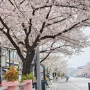 马鞍山旅游 缩略图 10