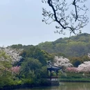 无锡旅游 缩略图 4