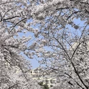 青岛旅游 缩略图 3