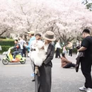 武汉旅游 缩略图 10