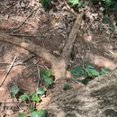 昆明旅游 缩略图 9