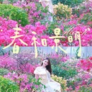 深圳旅游 缩略图 1