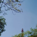 成都旅游 缩略图 11