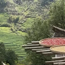 黄山旅游 缩略图 1