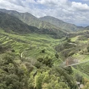 黄山旅游 缩略图 3