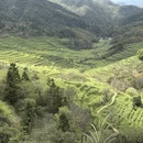 黄山旅游 缩略图 2