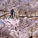 北京旅游 缩略图 8