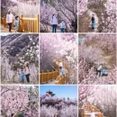 北京旅游 缩略图 1