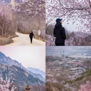 北京旅游 缩略图 10