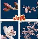 北京旅游 缩略图 4