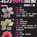 北京旅游 缩略图 7