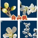 北京旅游 缩略图 5