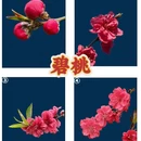 北京旅游 缩略图 6