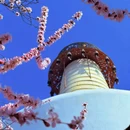 北京旅游 缩略图 13
